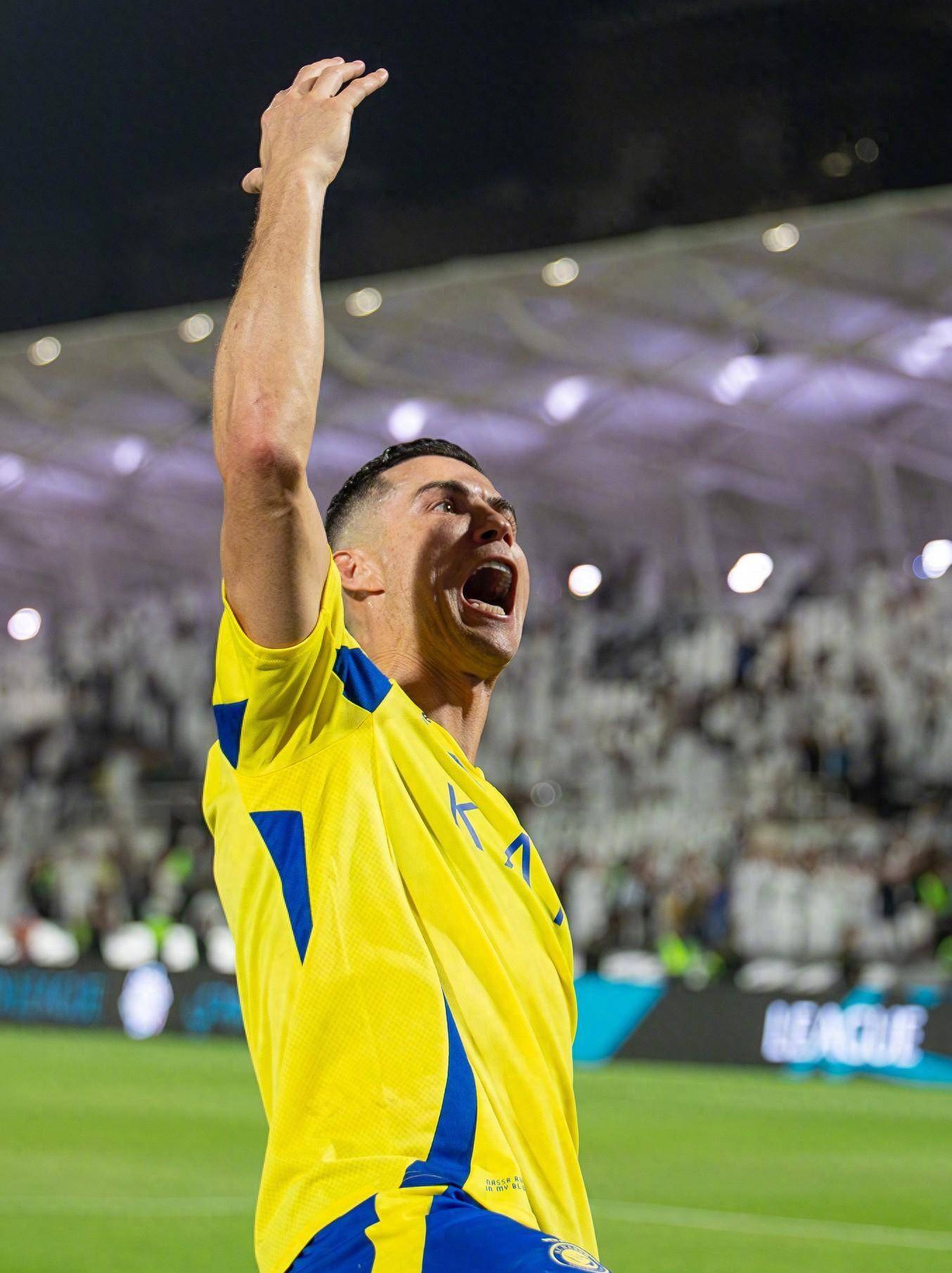 力图在强强 力图在强强